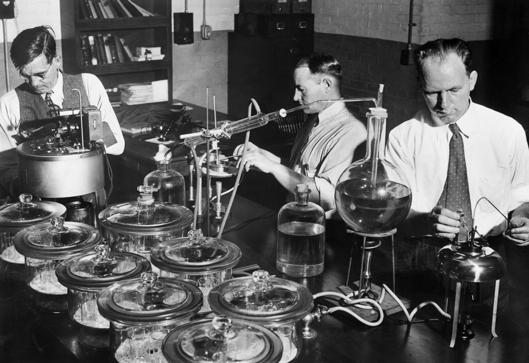 20190218 Chemists